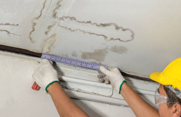 Reliable Mold Remediation contractor in Warren, NH by Water Damage Irwin